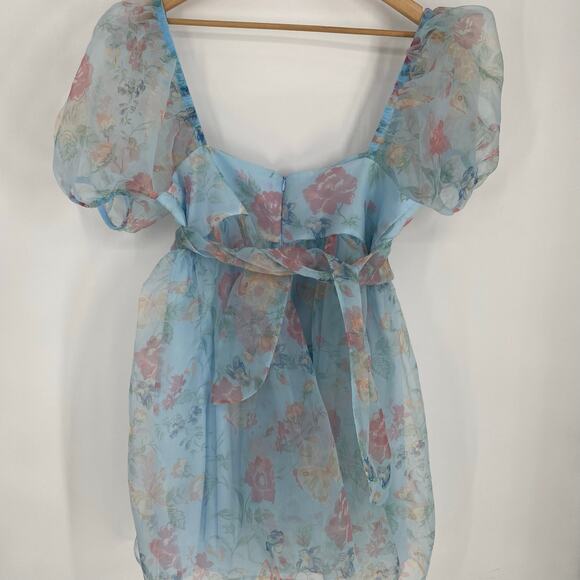 DOLLS KILL X HOLLY HOBBIE Dress XXL The Sweetest Gift Floral Babydoll Feminine - Picture 2 of 8